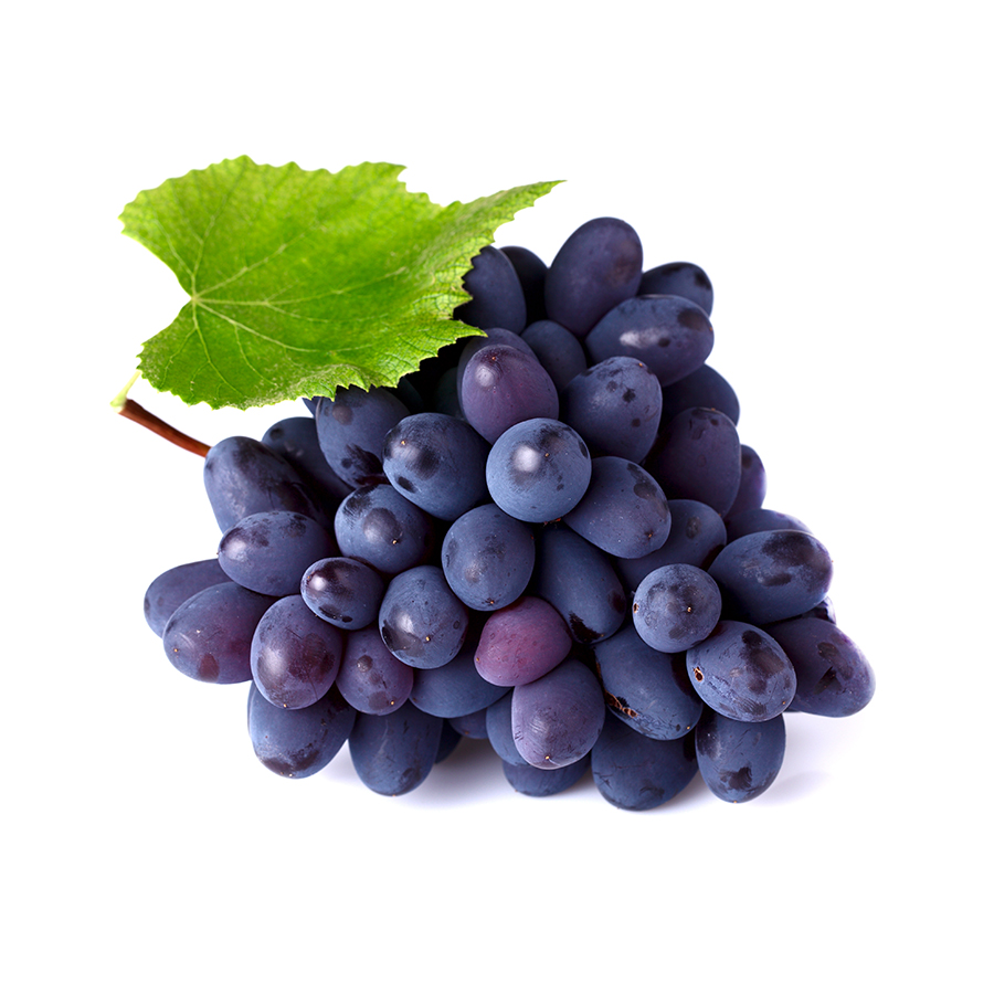Black Berrys Vitamin Healthy